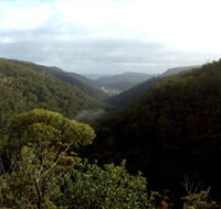 Nattai Gorge Lookout - ACT Tourism