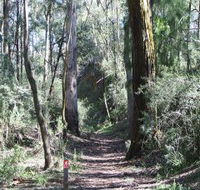 Box Vale Mine Walking Track and Lookout - ACT Tourism