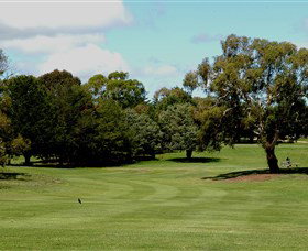 Cooma Golf Club - ACT Tourism 1