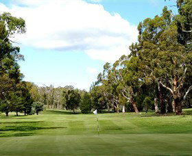 Cooma Golf Club - ACT Tourism 0