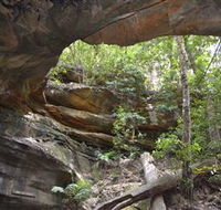 Cave Creek Walking Track - ACT Tourism