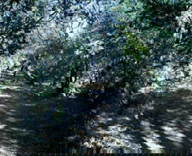 Cave Creek Walking Track - ACT Tourism 3