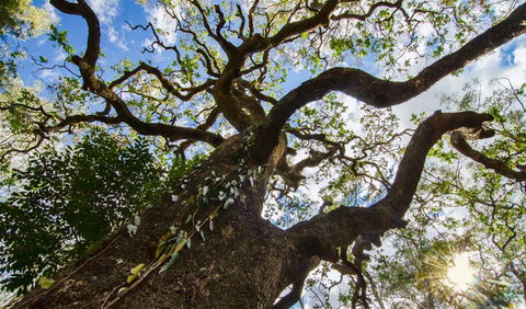 Woko National Park - ACT Tourism 1