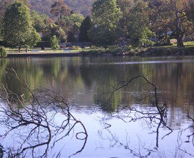 Lake Alexandra Reserve - ACT Tourism 2