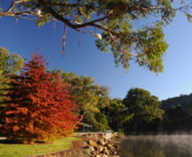 Lake Alexandra Reserve - ACT Tourism 1