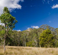 Brush Turkey track - ACT Tourism