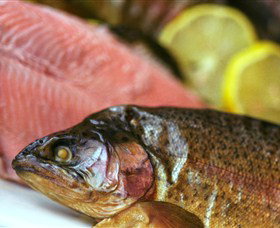 Lovedale Smokehouse Gourmet Pantry, Cafe And Masterclasses - ACT Tourism 0