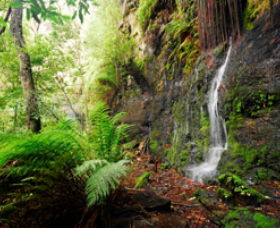 Fairy Bower Falls - ACT Tourism 0