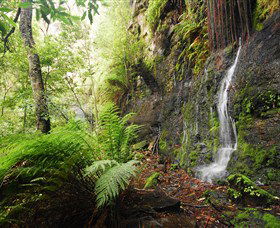 Fairy Bower Falls - ACT Tourism 2