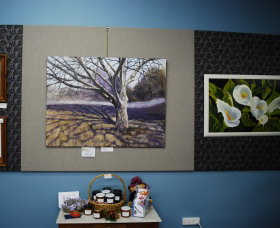 Monaro Art Groups Little Gallery - ACT Tourism 0