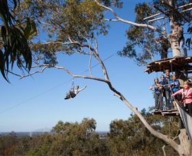 TreeTop Safari - ACT Tourism 0