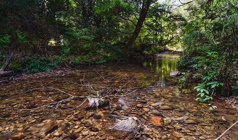 Myrtle Scrub Scenic Drive - ACT Tourism 2