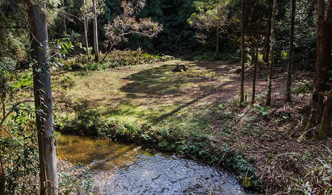 Myrtle Scrub Scenic Drive - ACT Tourism 3