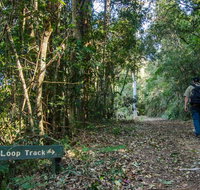 Basin Loop track - ACT Tourism