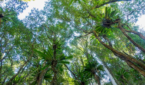 Hidden Treasure Track - ACT Tourism 2