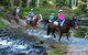 Glenworth Valley Horse Riding - thumb 1
