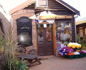 Australian Alpaca Barn - Morpeth - ACT Tourism 0
