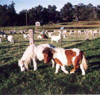 Trudgalong Farm - ACT Tourism