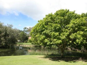 Hervey Bay Botanic Gardens - ACT Tourism 0