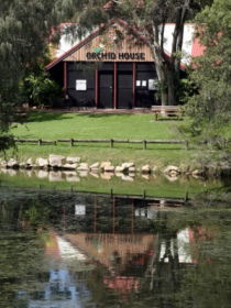 Hervey Bay Botanic Gardens - ACT Tourism 1