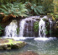 Barrington Tops National Park Walks - ACT Tourism