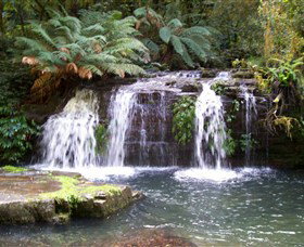 Barrington Tops National Park Walks - ACT Tourism 0