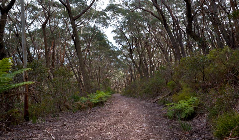 Yadboro NSW ACT Tourism