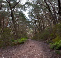 Budawang National Park - ACT Tourism