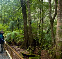 Monga National Park - ACT Tourism
