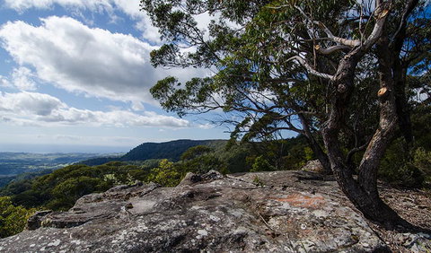 Illawarra Lookout Walking Track - ACT Tourism 2