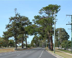 Anzac Memorial Avenue, Redcliffe - ACT Tourism 2