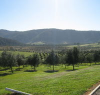 Hastings Valley Olives - ACT Tourism