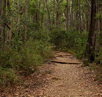 Pigeon House Mountain Didthul walking track - ACT Tourism