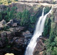Minnamurra Rainforest Centre Budderoo National Park - ACT Tourism