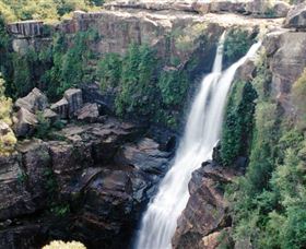 Minnamurra Rainforest Centre: Budderoo National Park - ACT Tourism 0