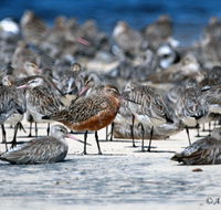 Cooloola Nature - ACT Tourism