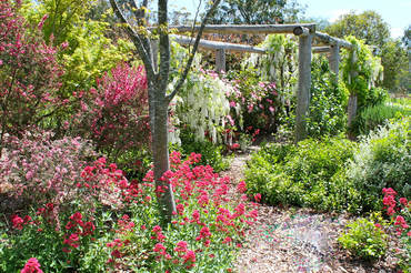 Ivy Hill Gallery - ACT Tourism 6