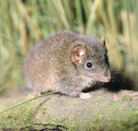 Munmorah State Conservation Area - ACT Tourism