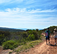 Moonee Beach trail - ACT Tourism