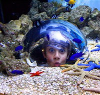Sea Life Sunshine Coast - ACT Tourism