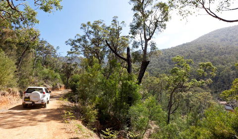 Wadbilliga Road Drive - ACT Tourism 1