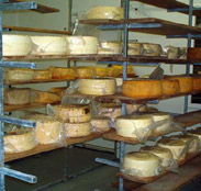 Harvey Cheese - ACT Tourism