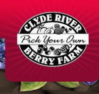 Clyde River Berry Farm - ACT Tourism