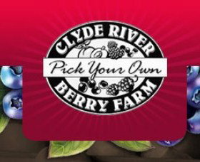 Clyde River Berry Farm - ACT Tourism 0