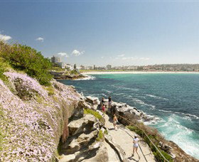 Bondi To Coogee Coastal Walk - ACT Tourism 3