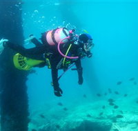 Shellharbour Scuba  Photography Centre - ACT Tourism