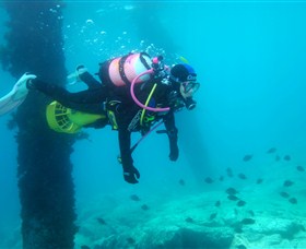 Shellharbour Scuba & Photography Centre - ACT Tourism 0