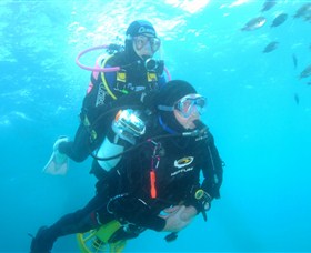 Shellharbour Scuba & Photography Centre - ACT Tourism 1
