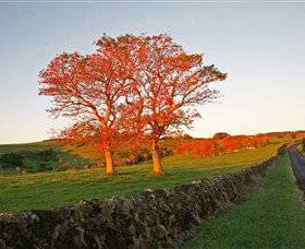 Saddleback Mountain Lookout - ACT Tourism 2