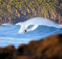 Killalea Beach - ACT Tourism